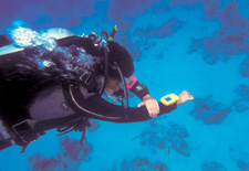 Nav Diver